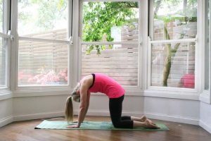 Yoga poses for weight loss - cat