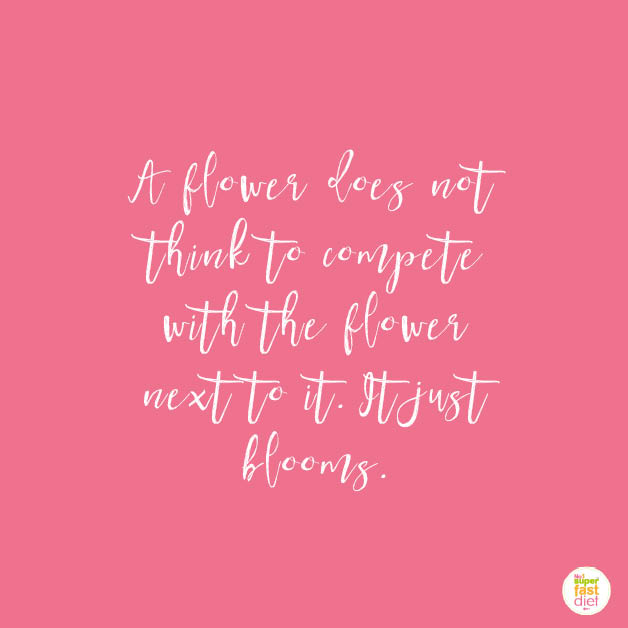 stop comparing quotes - flower