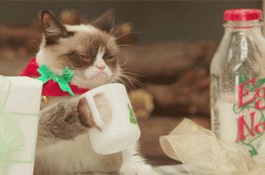 These cats are us right now – Merry Christmas!