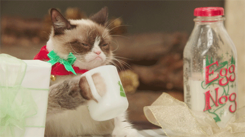 These cats are us right now – Merry Christmas!