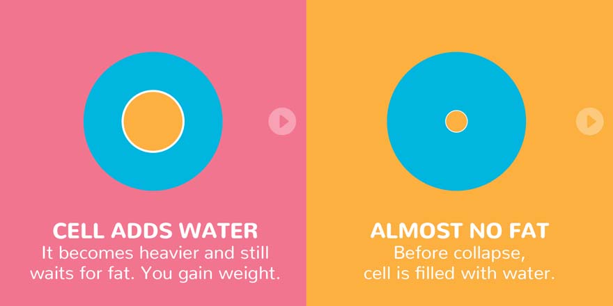 your fat cells fill with water