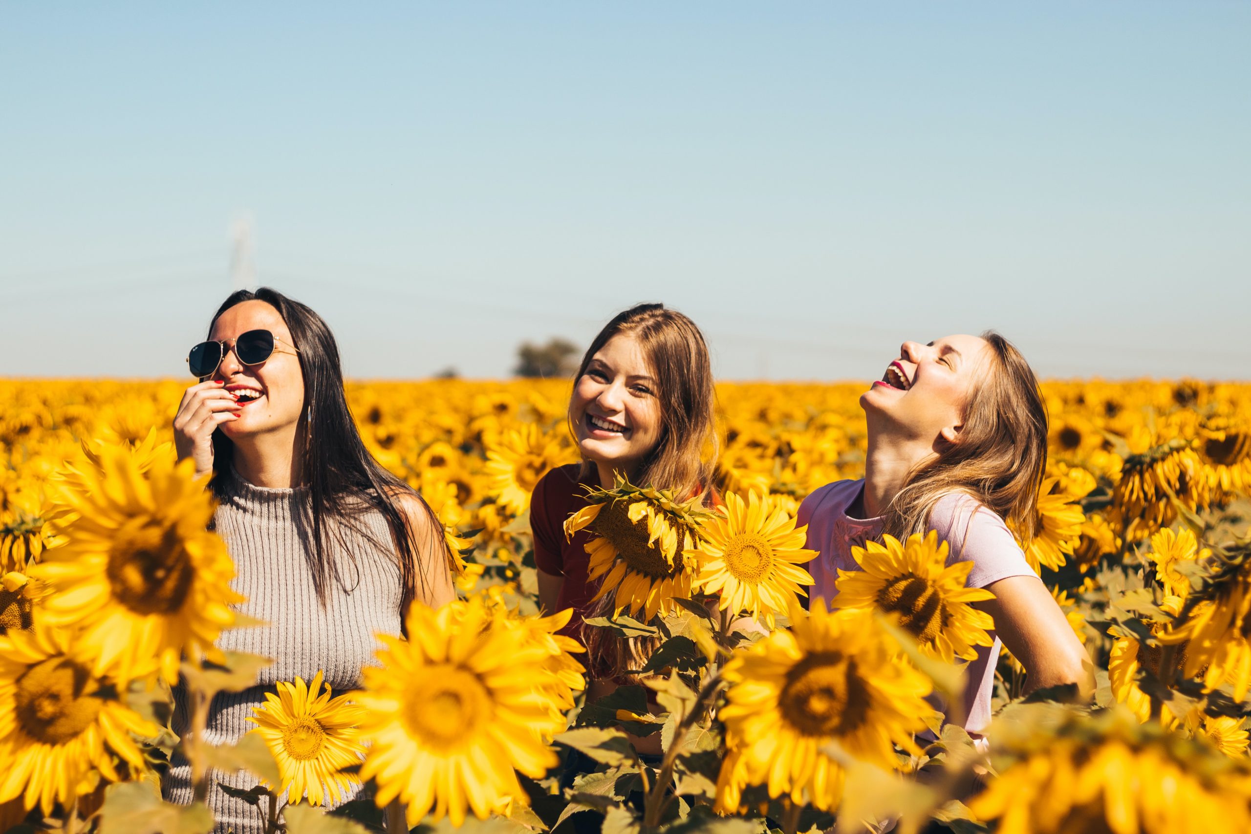 The journey of pursuing and nurturing happiness