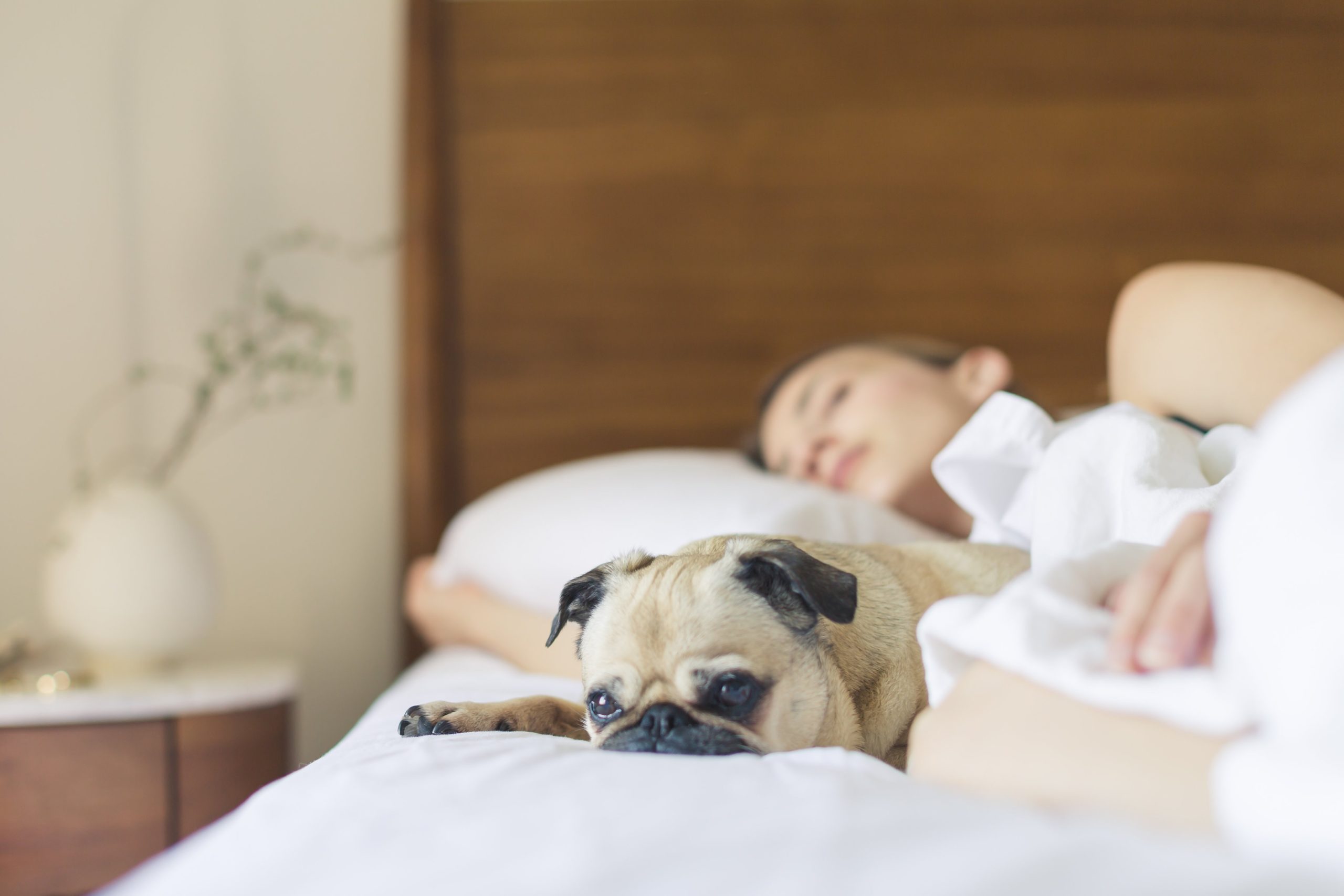 Why is a good night’s sleep so beneficial to your health?