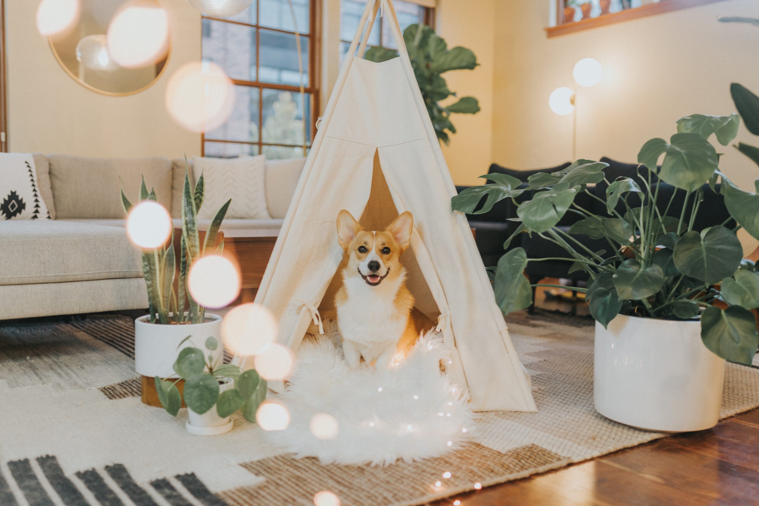 Make yourself a self-care haven at home